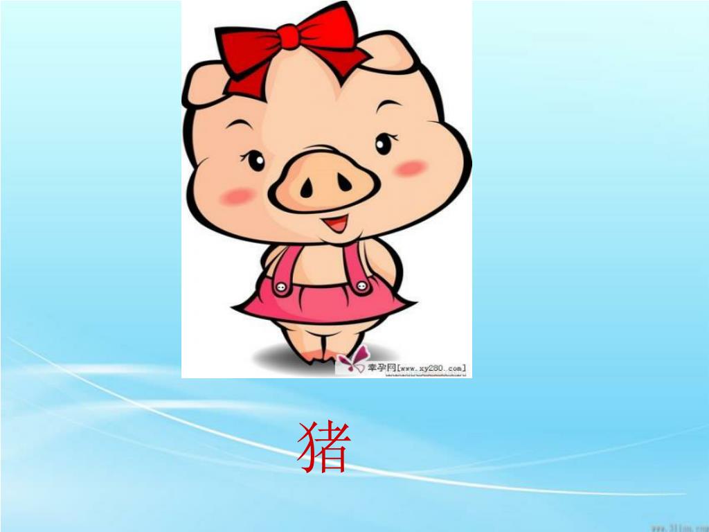 猪年十二生肖属相传统插画_yangfan944666-站酷ZCOOL