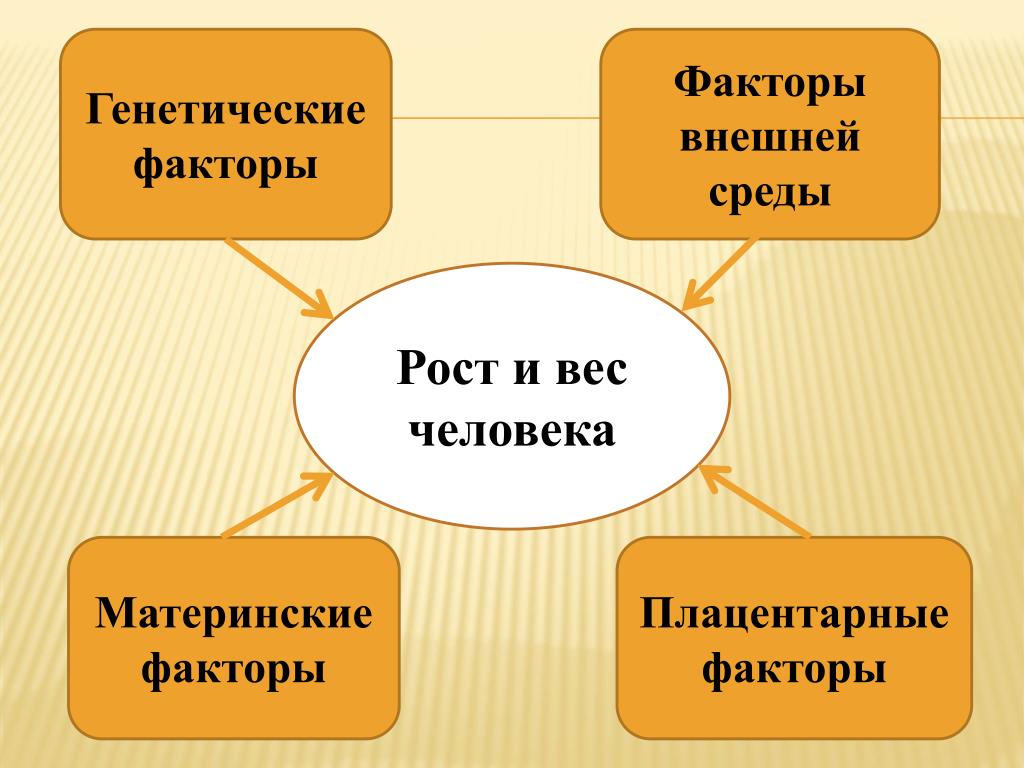 Генетические факторы роста и развития. Генетические факторы. Генетические факторы роста. Генетический фактор внешний фактор. Внешние факторы роста человека.