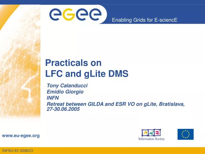 practicals on lfc and glite dms n.