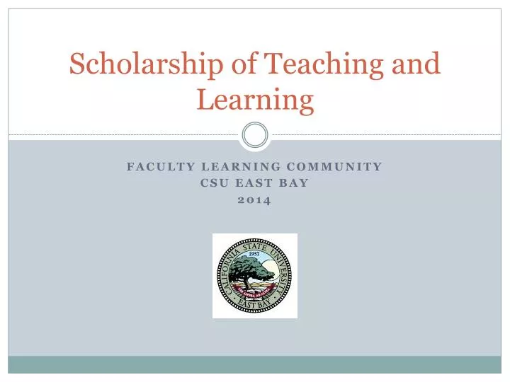 scholarship of teaching and learning n.
