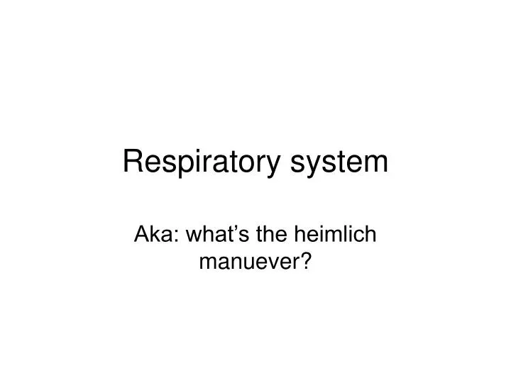 respiratory system n.