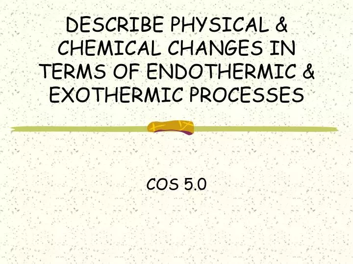 describe physical chemical changes in terms of endothermic exothermic processes n.