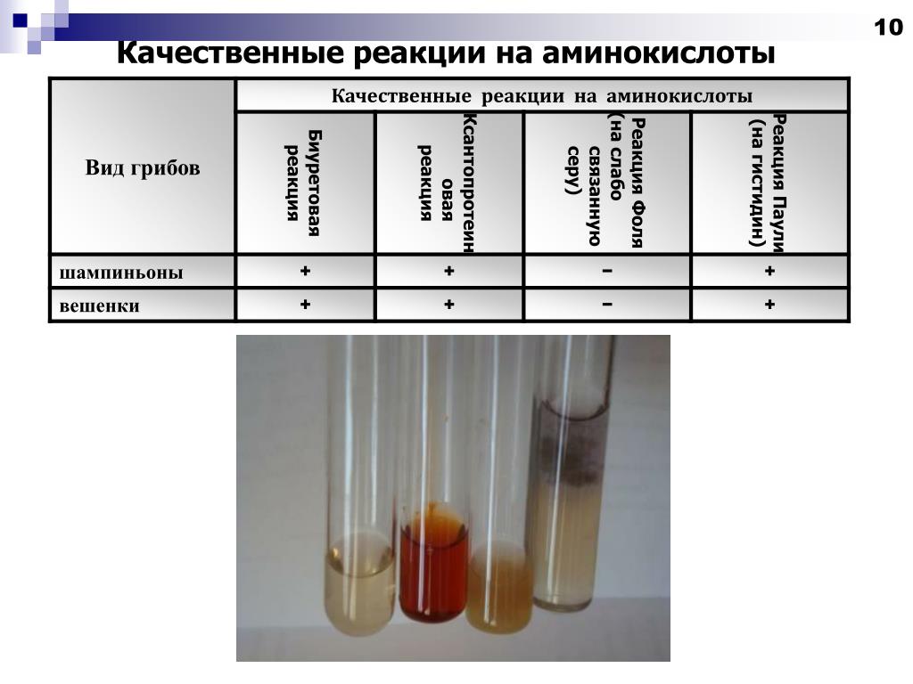 Качественные реакции суть. Качественные реакции на аминокислоты. Качественная репкуия на Амин. Качественные реакции Аминов. Качественная реакция на Амин.