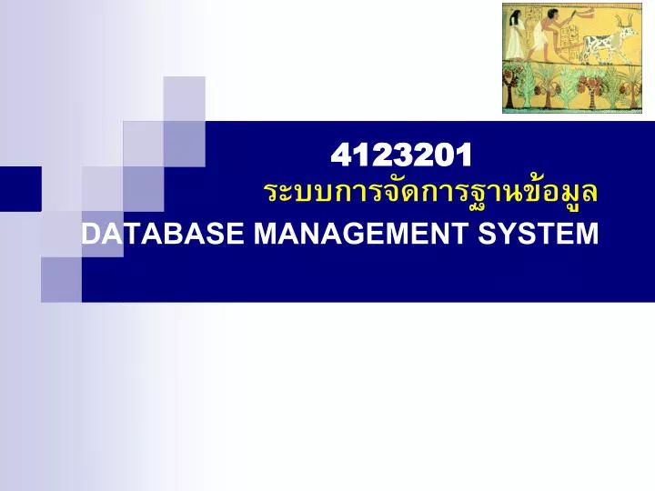 database management system n.