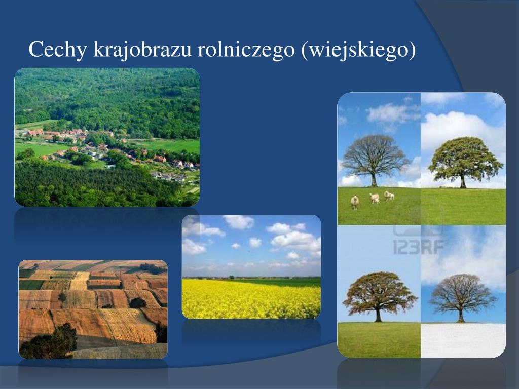 Wyjaśnij Dlaczego Na Nizinie Mazowieckiej Przeważa Krajobraz Rolniczy PPT - KRAJOBRAZ ROLNICZY POLSKI PowerPoint Presentation, free download