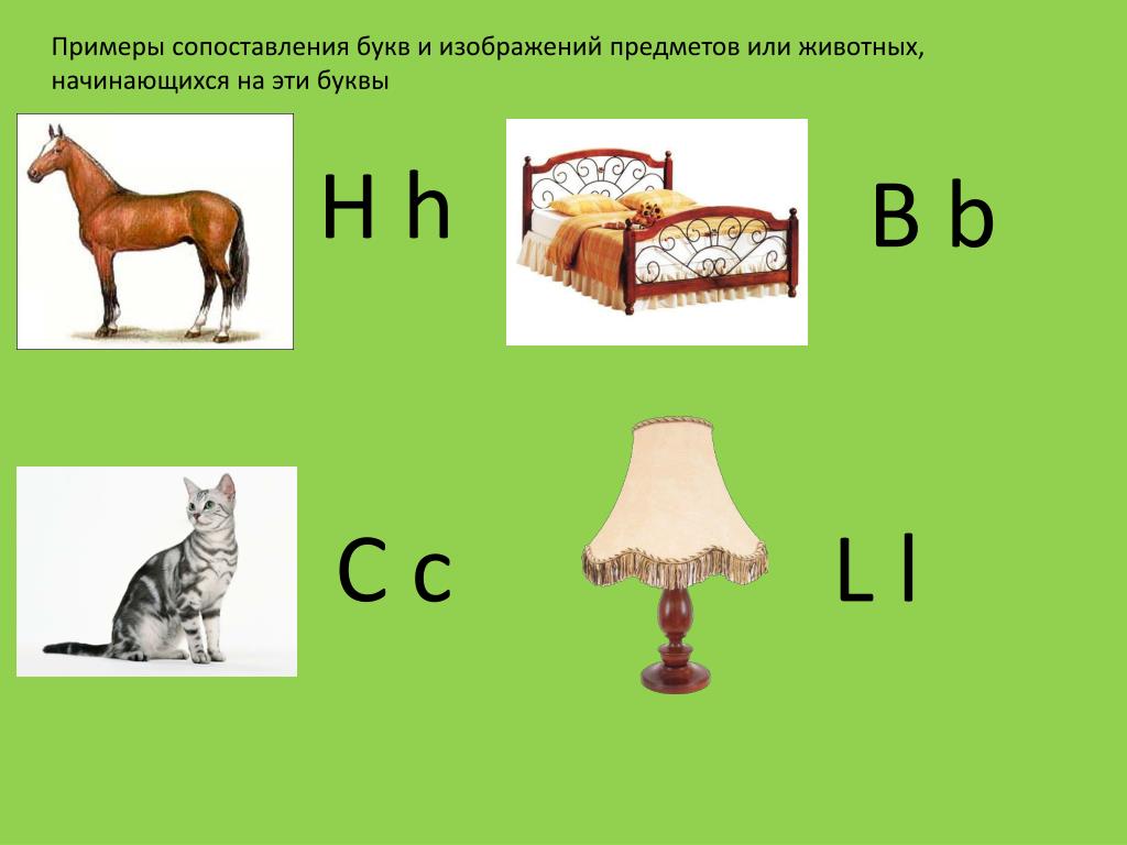 Сравнение 6 букв. Примеры на сопоставление букв. Сопоставить букву и картинку. Сравнение буквы и с предметом. Примеры сравнения животных.