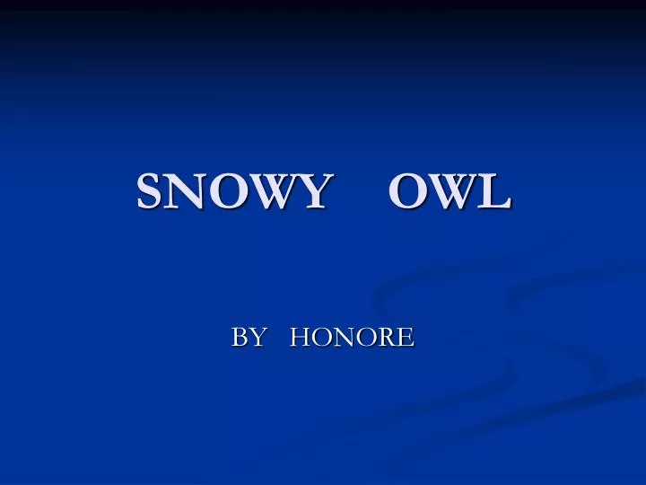 snowy owl n.
