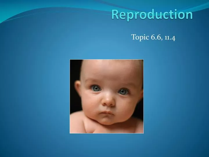 reproduction n.