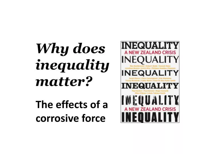 does inequality matter does inequality matter