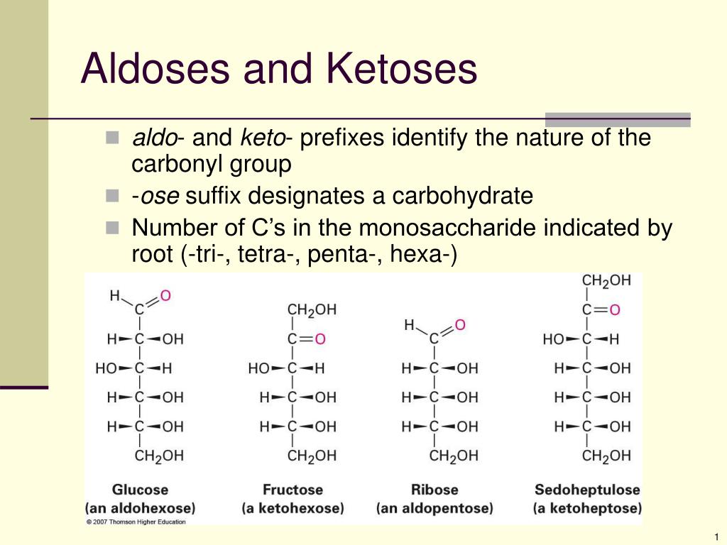 PPT - Aldoses and Ketoses PowerPoint Presentation, free download -  ID:5826725