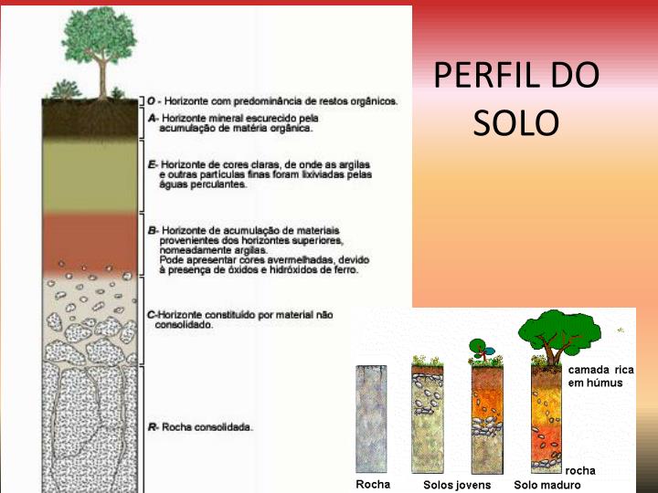 Um Perfil De Solo é Mostrado Na Figura Abaixo