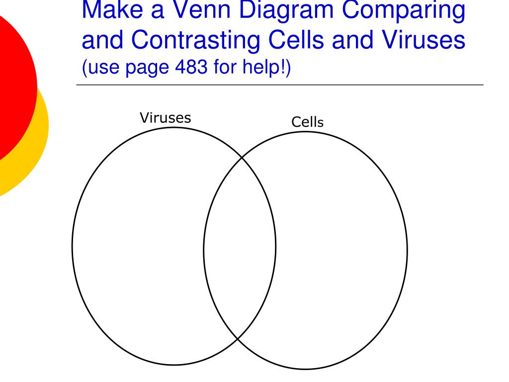 Venn Diagram Of Bacteria And Virus 2456