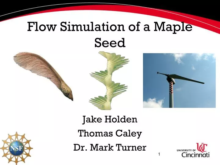 Ppt Flow Simulation Of A Maple Seed Powerpoint Presentation Free Download Id 5835255