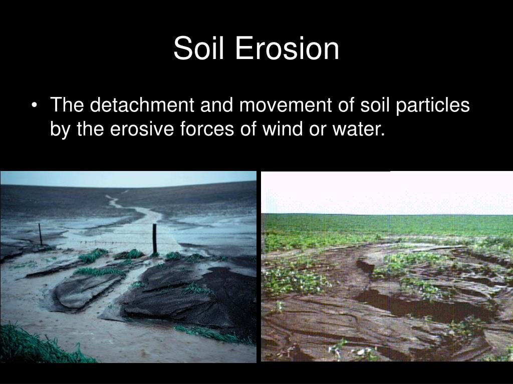 PPT - Soil Erosion: Causes, Control & Estimation PowerPoint ...