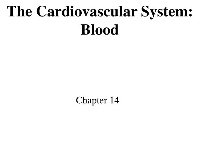 the cardiovascular system blood n.