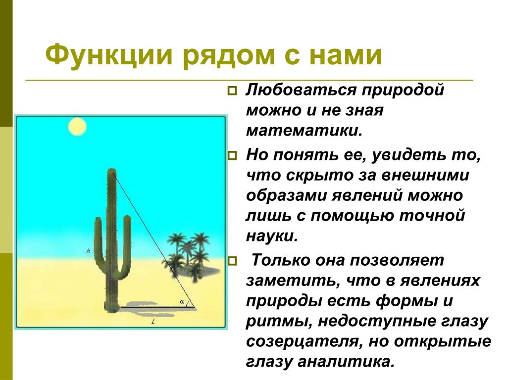 PPT - МОУ Гимназия имени академика Н.Г. Басова при Воронежском госуниверситете P