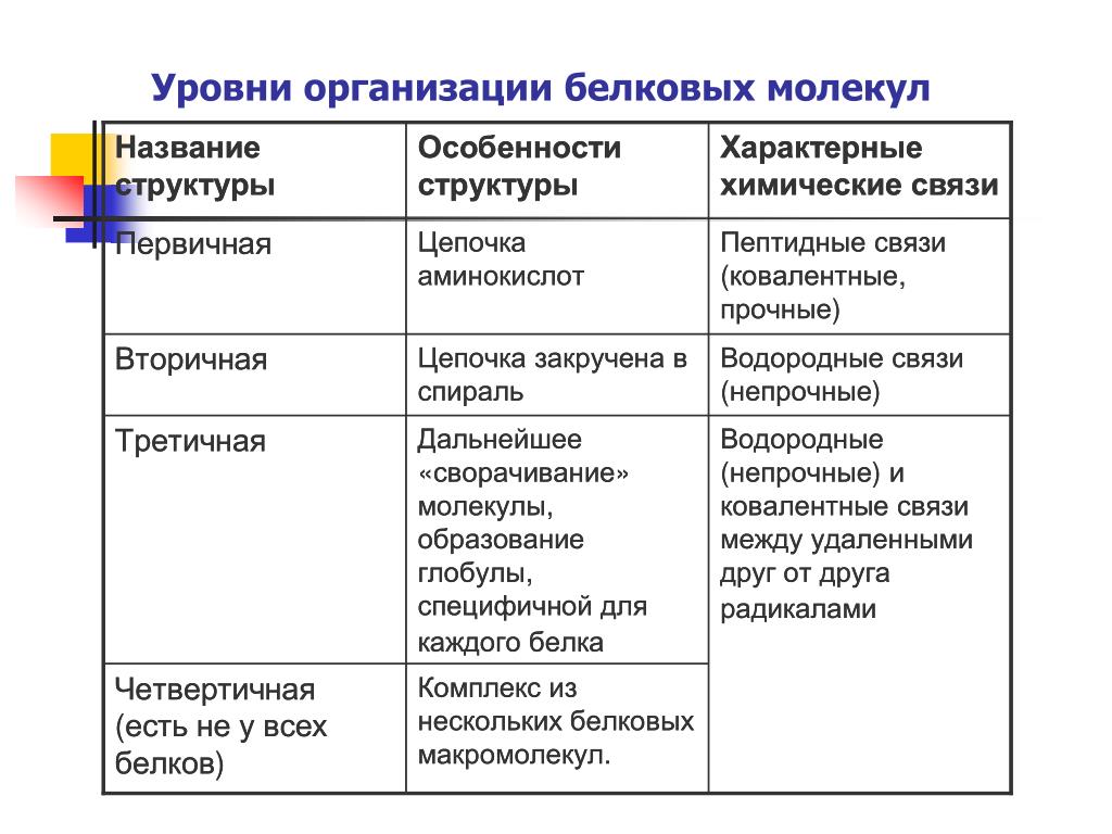 4 организации белка. Уровни организации молекул белка таблица. Характеристика уровней организации белков. Уровни структурной организации белков. Таблица по биологии уровни организации белковой молекулы.