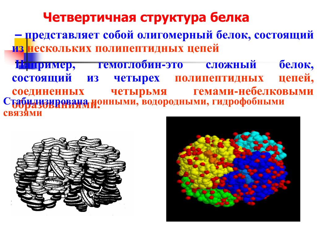 Сложные белки состав