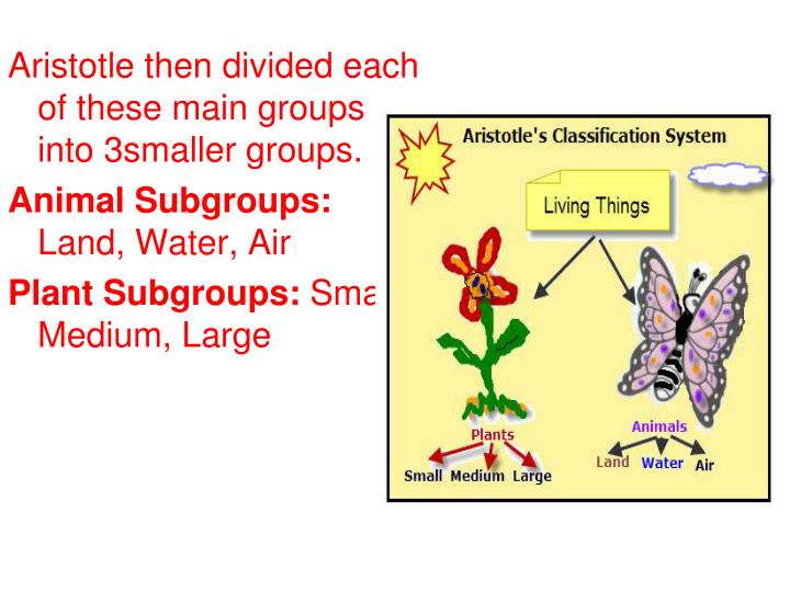 Get Which Best Describes The Earliest Land Plants Images