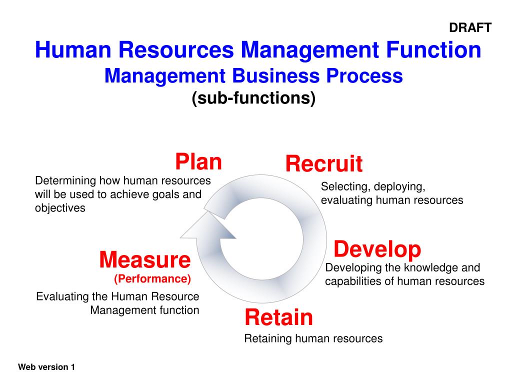 Functions Of Human Resource Dadbuilder