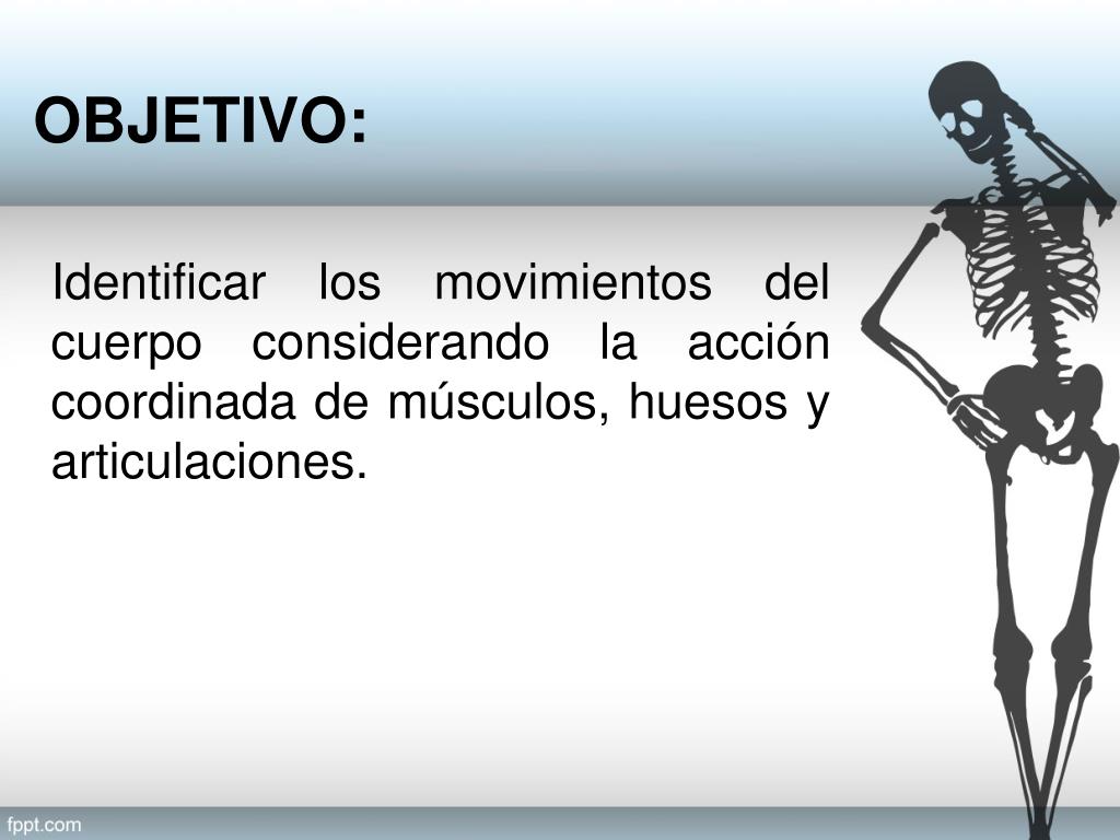 Objetivo de articulaciones