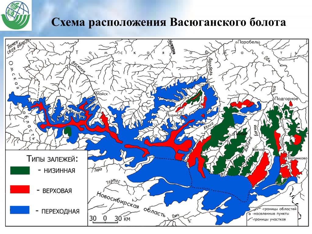Территория болот в россии. Схема расположения Васюганского болота. Васюганское болото расположение. Васюганские болота на карте. Васюганское болото на карте.
