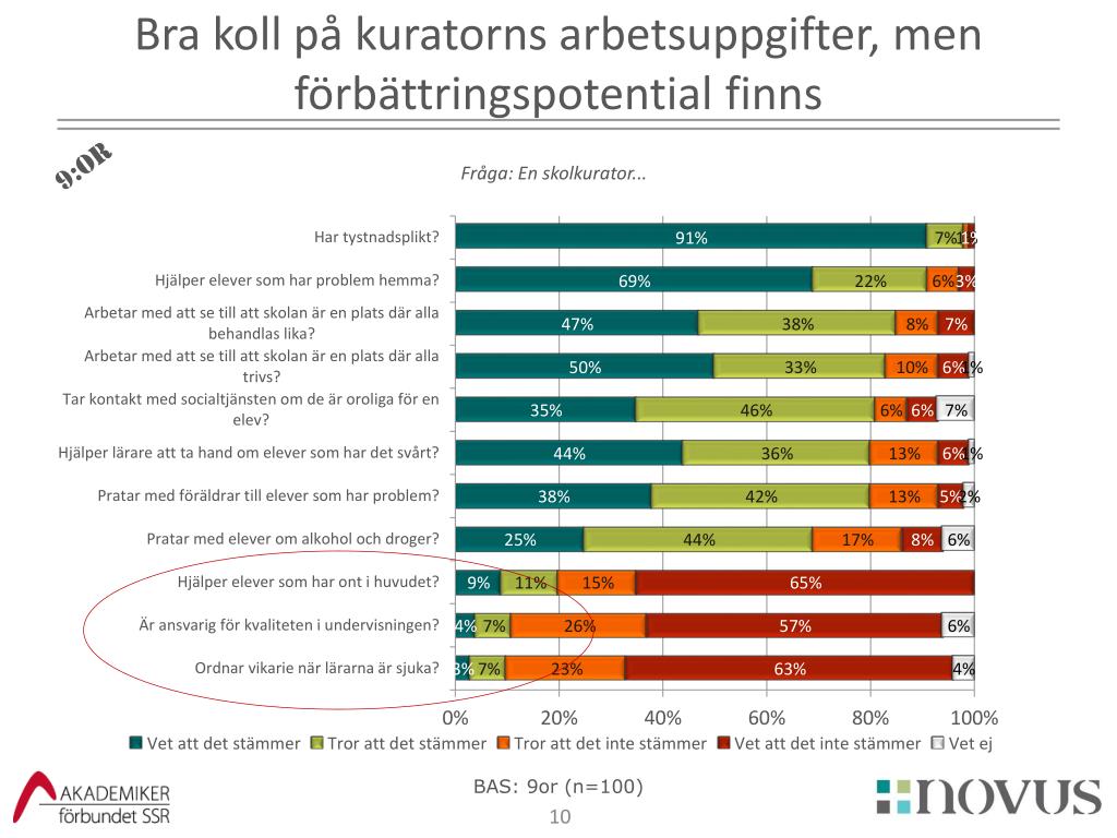 Kurator arbetsuppgifter