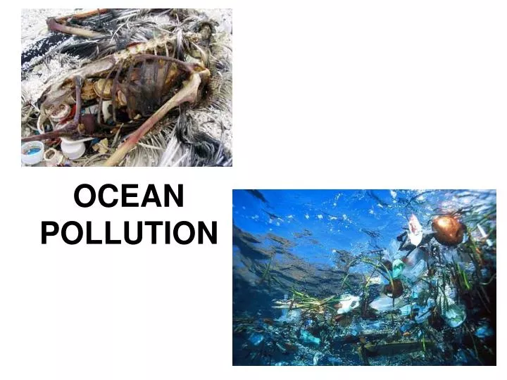 theory of marine pollution theory of marine pollution