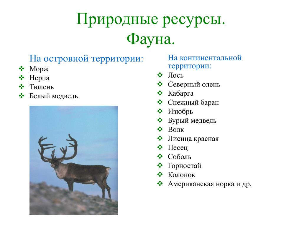 Характеристика якутии. Природные богатства животные. Животные Якутии презентация.