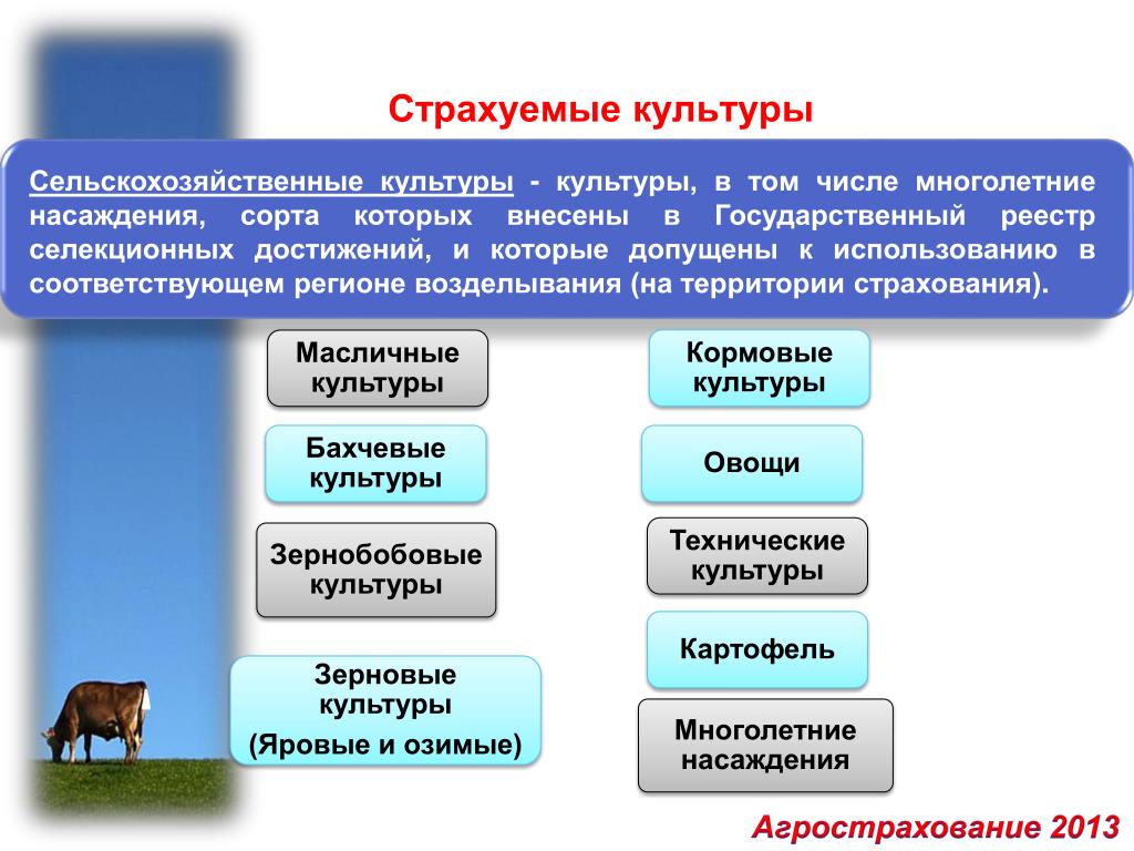 Государственный реестр селекционных достижений