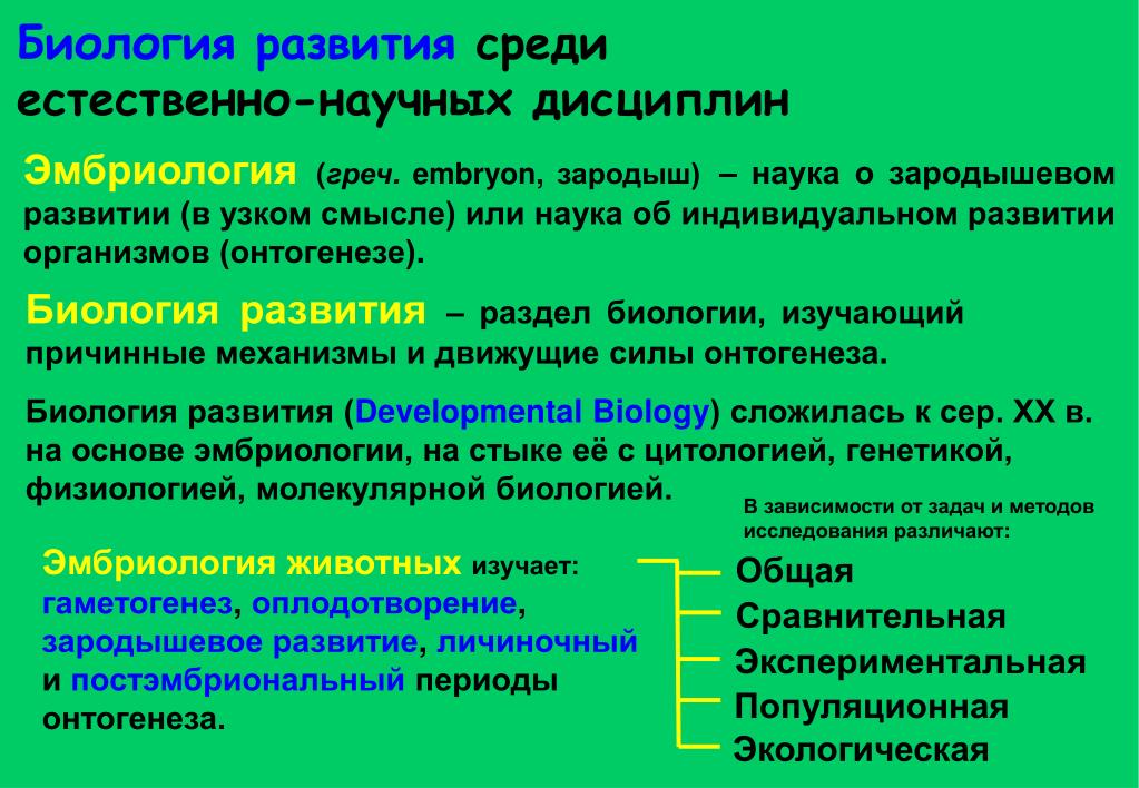 Формирование биологии. Методы биологии индивидуального развития. Развитие это в биологии. Экологическая эмбриология. Что такое развитие организма в биологии.