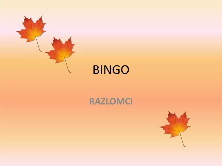 bingo n.