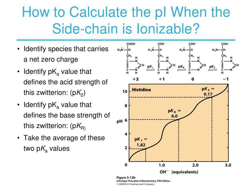 PPT CHAPTER 3 Amino Acids, Peptides, Proteins PowerPoint Presentation