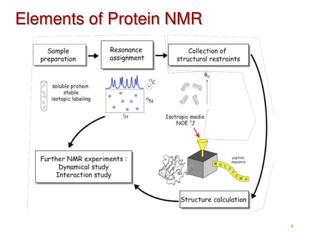 biomolecular nmr assignments
