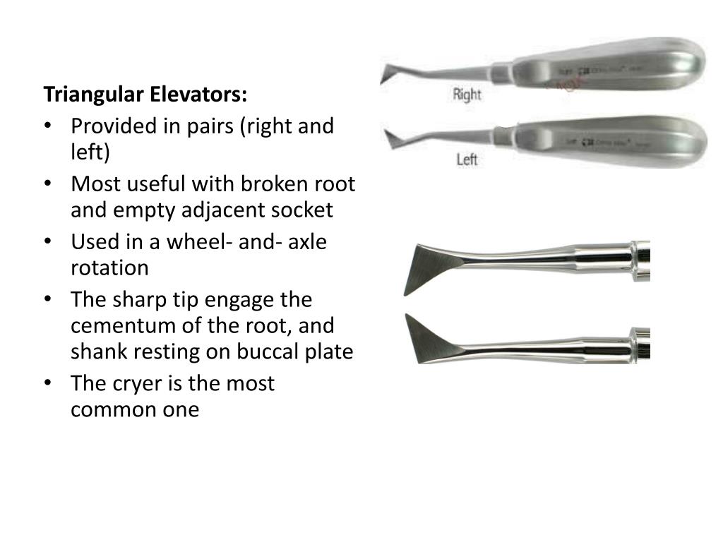 PPT Instrumentation for Basic Oral Surgery PowerPoint Presentation