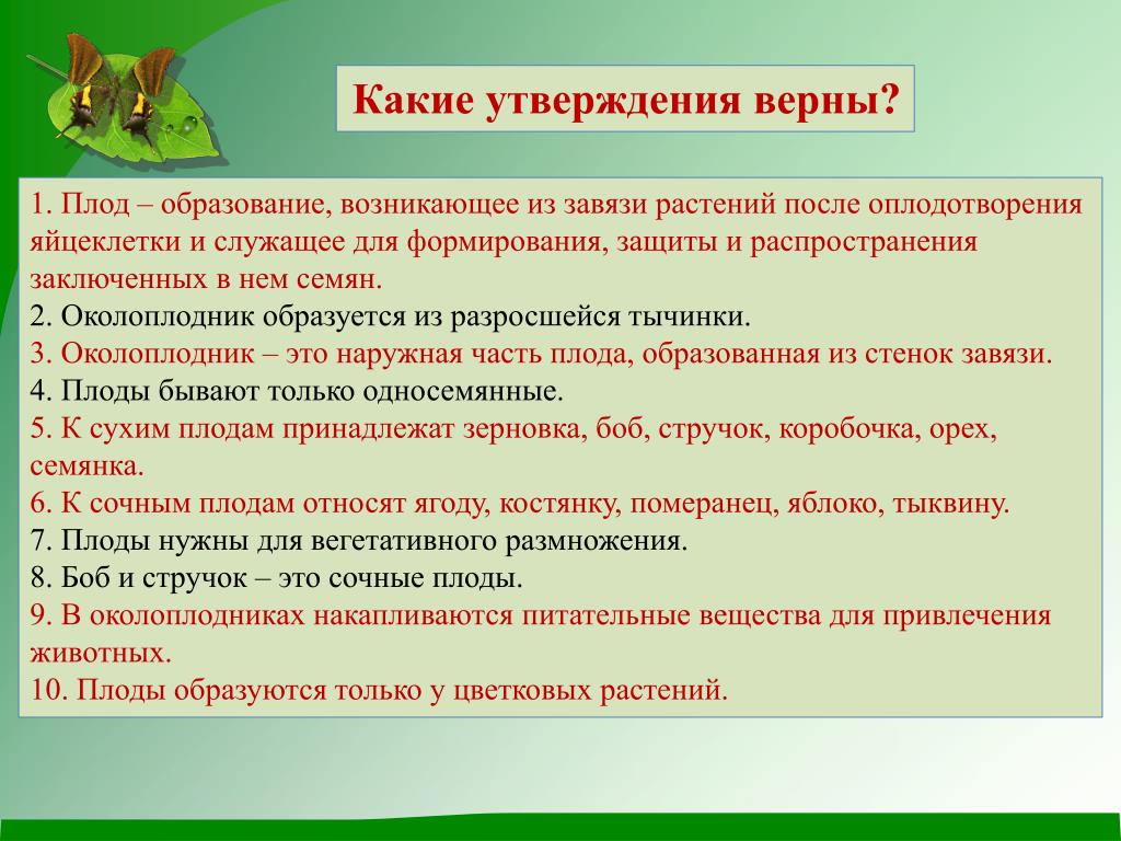 Выберите верные утверждения процесс формирования. Какие утверждения верны. Какие бывают утверждения. Верные утверждения о цветках и плодах. Какое бывает утверждение.