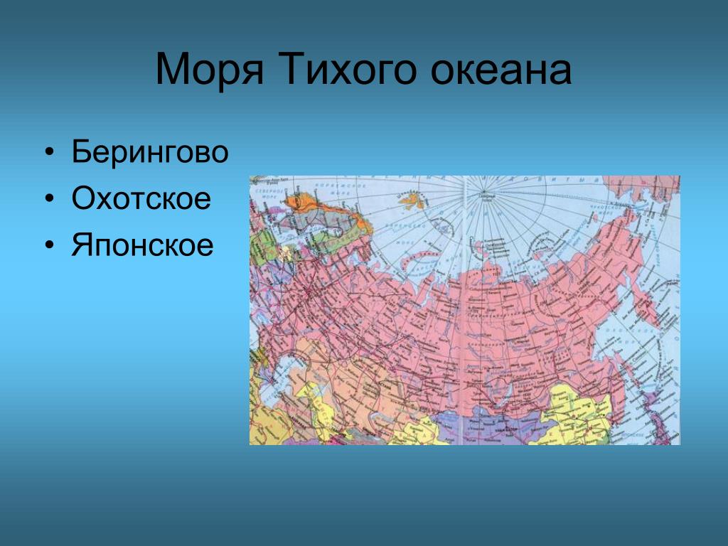 Россию омывают 12. Моря Тихого океана омывающие Россию. Моря омывающие Россию на карте. Моря Северного Тихого океана омывающие Россию.