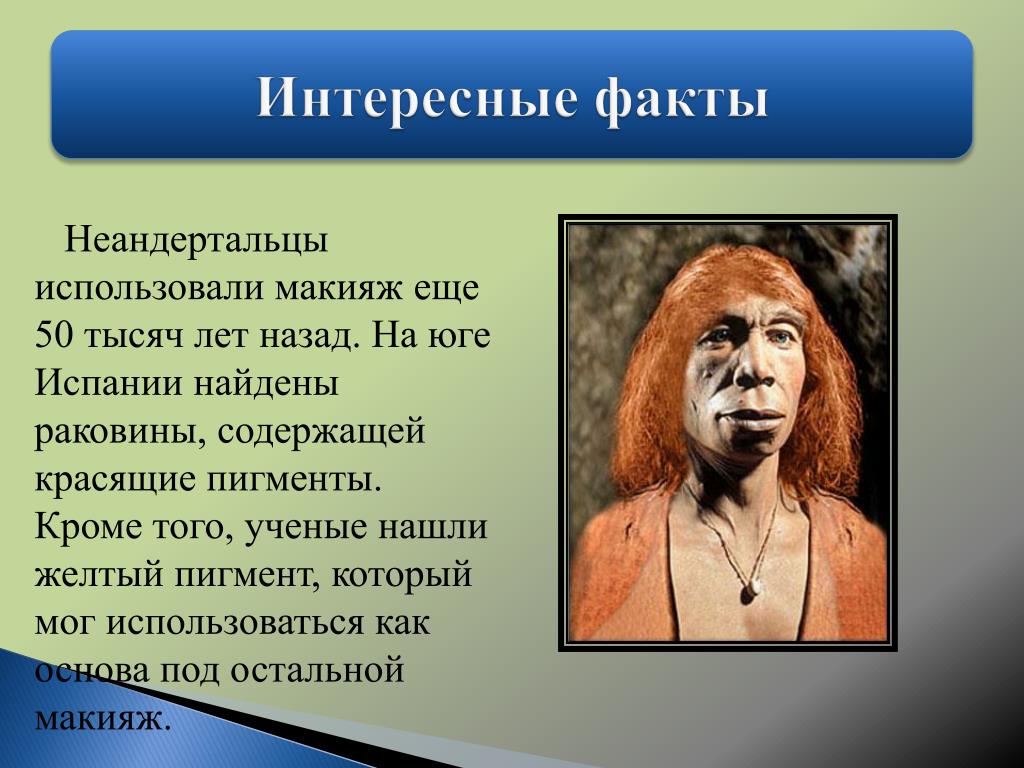 Неандертальцы вопросы. Неандерталец интересные факты. Неандерталец презентация. Неандреталецпрезентация. Факты о неандертальцах.