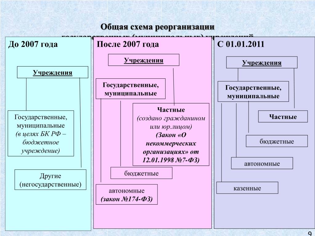 История государственного аппарата. Государственные и муниципальные учреждения.