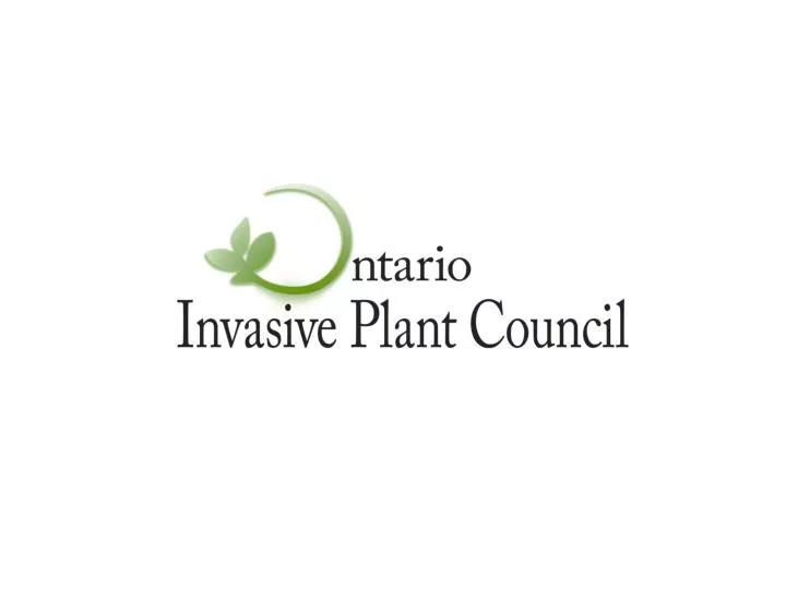 PPT Ontario Invasive Plant Council Overview of council Council