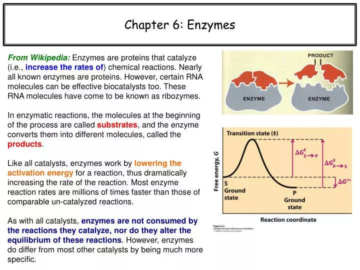 enzymex for windows enzymex for windows