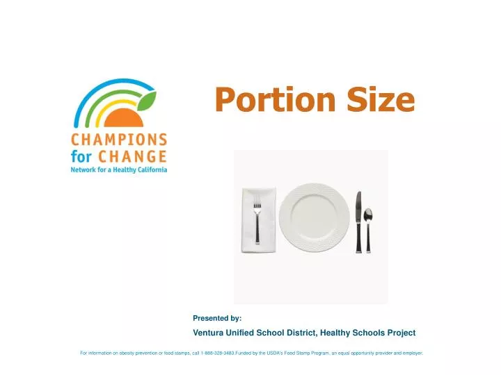 portion size n.