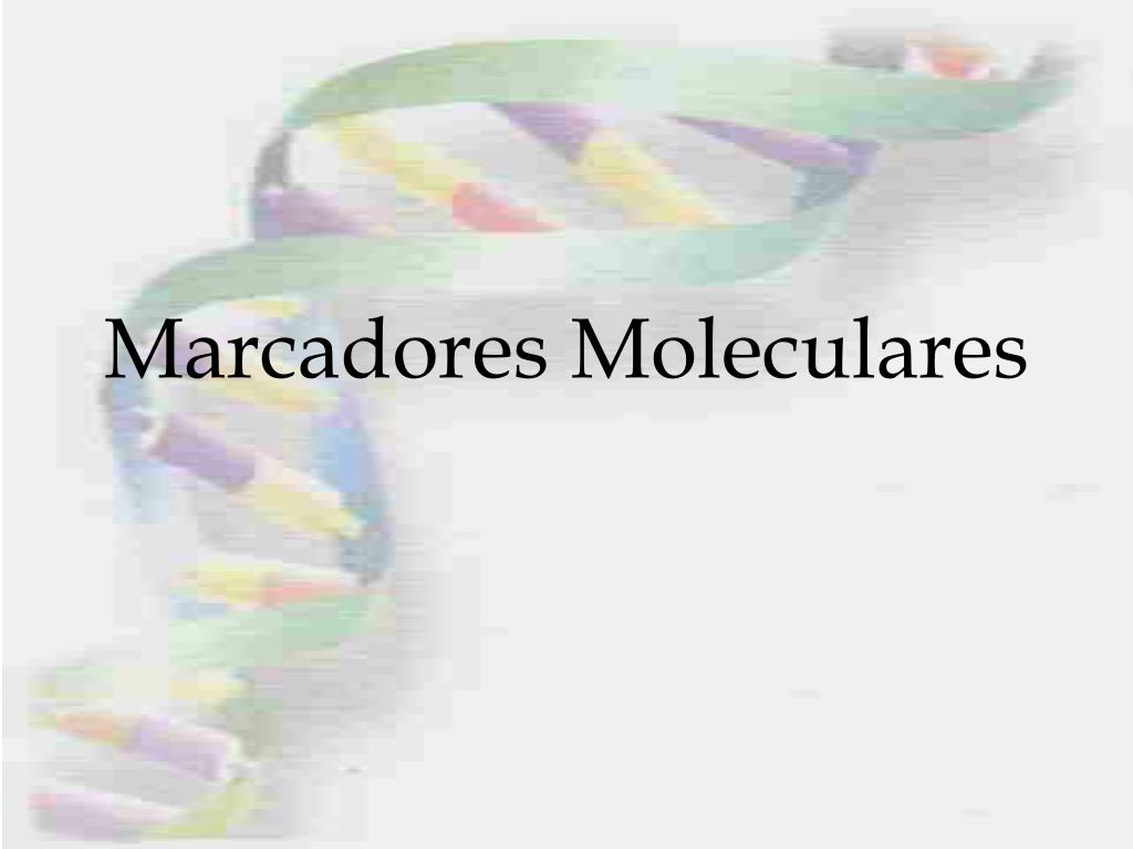 PPT - Marcadores Moleculares PowerPoint Presentation, free download -  ID:5871376