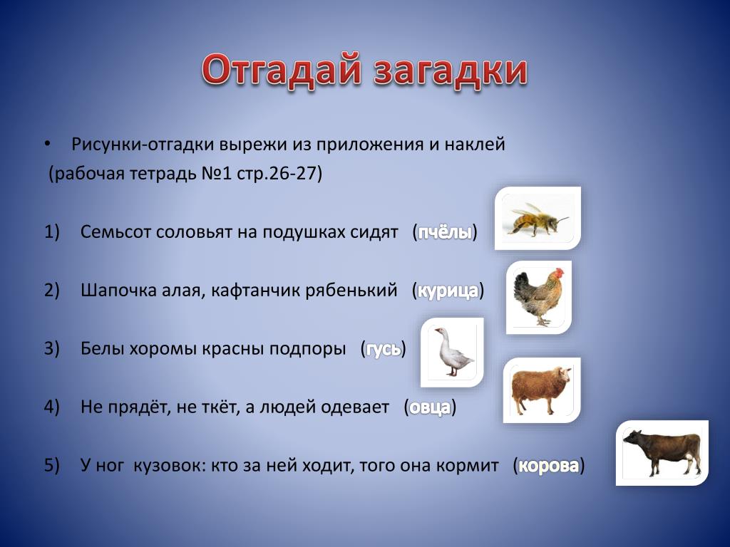 1 загадку угадаешь