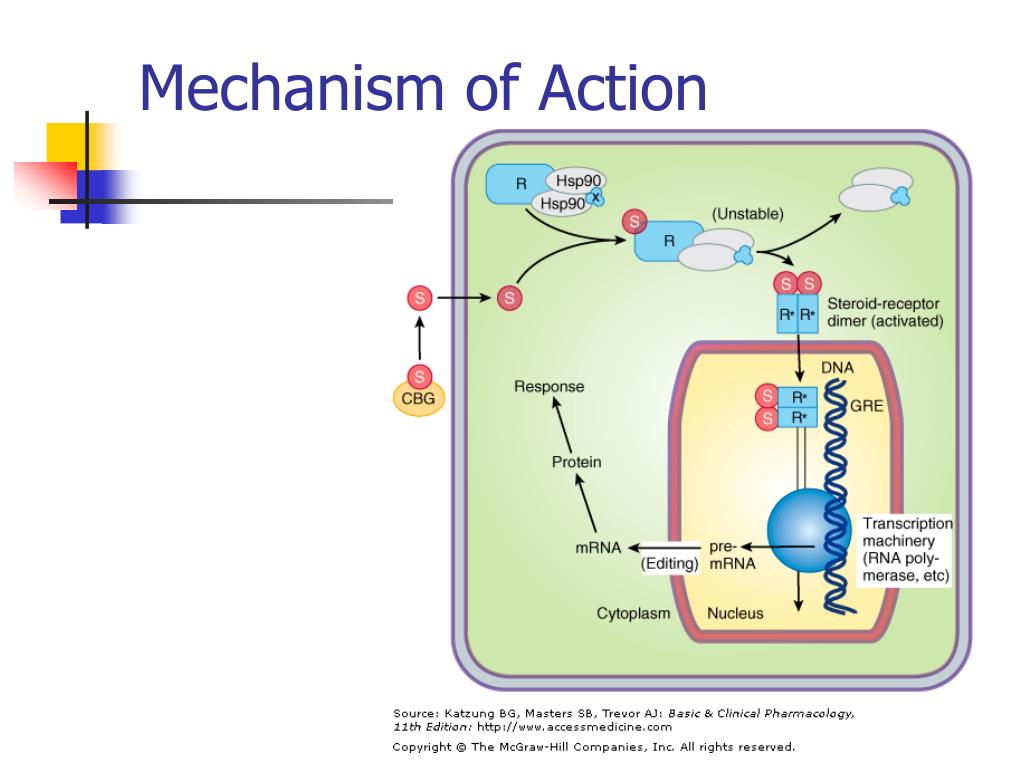 Mechanism of action. SSRIS mechanism of Action. Bedaquiline mechanism of Action. Diclofenac mechanism of Action.