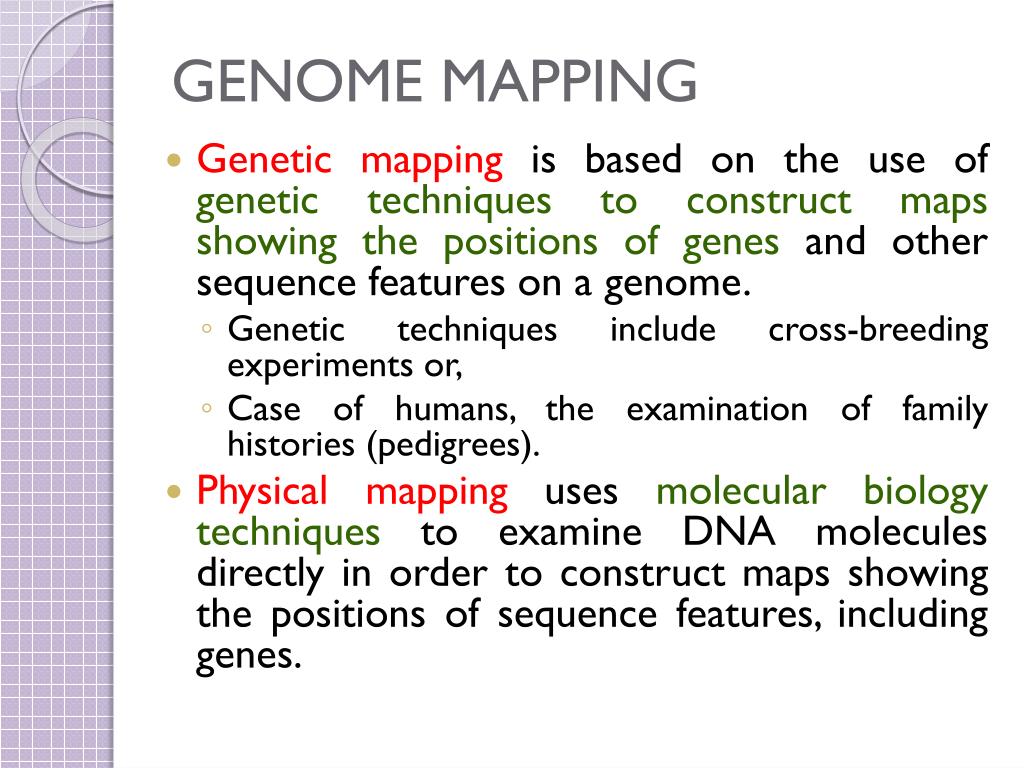 mapping the travel behavior genome