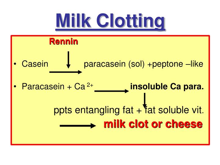 Dissertation riboflavin production from whey milk with lactobacillus