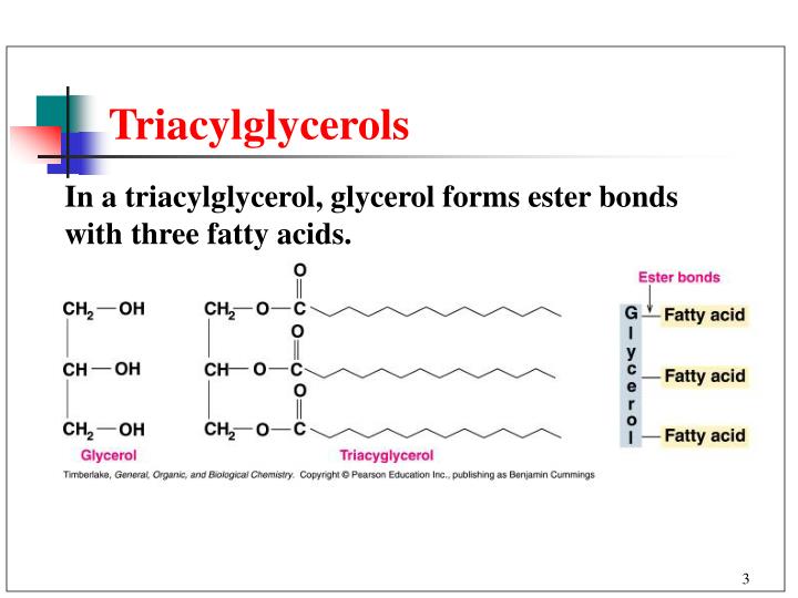 PPT Chapter 18 Lipids PowerPoint Presentation ID5876459