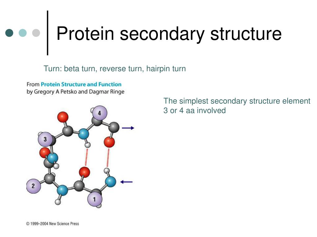 free download secondary structure of protein free download secondary structure of protein