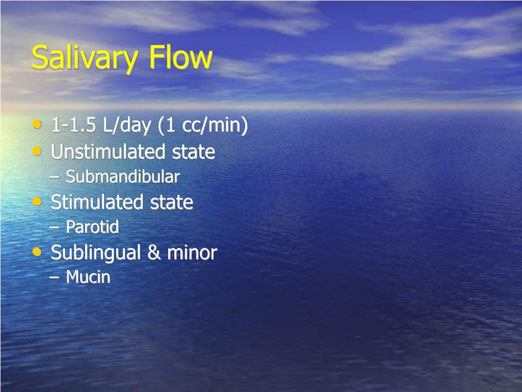 PPT - Anatomy and Physiology of the Salivary Glands PowerPoint ...